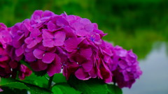 DSCF3256