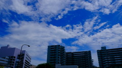 DSCF3139