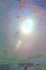 DSCF8233