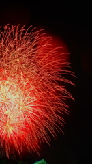 DSCF0081