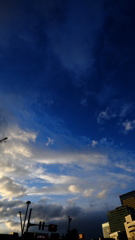 DSCF6134