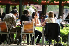 Jardin des Tuileries, Paris, FR