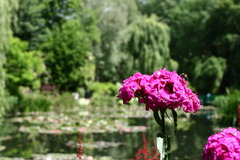 Giverny, FR