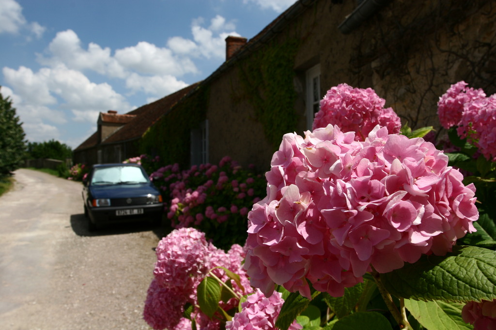 Vézelay, FR
