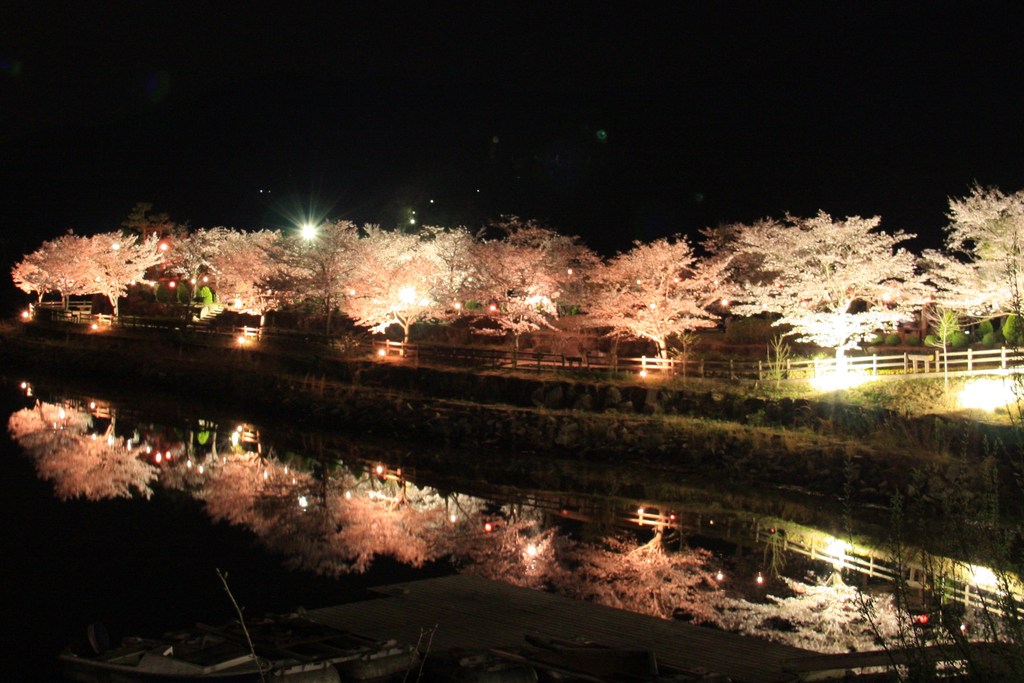 恵那桜