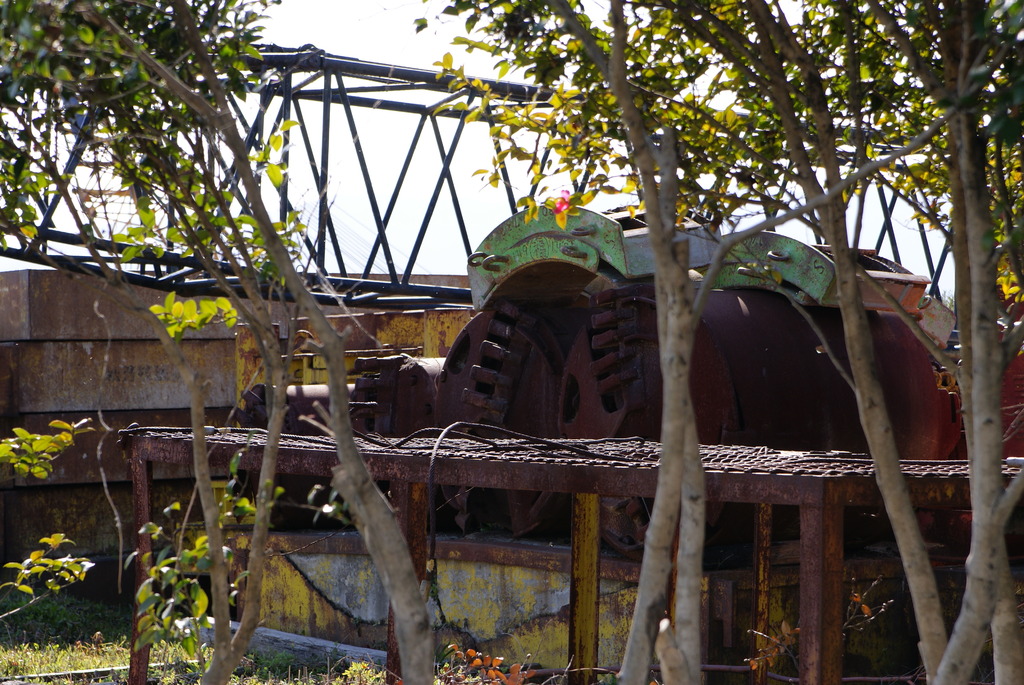 DSC01908