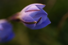 DSC00134