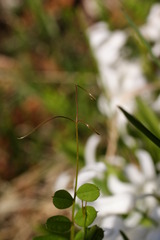 DSC00148