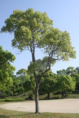 神山森林公園