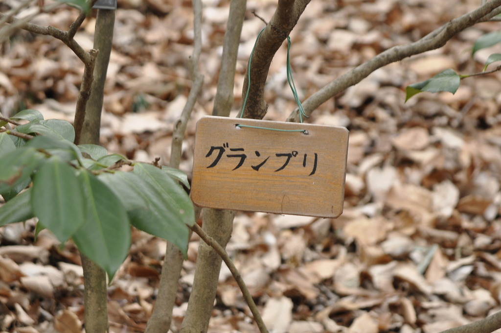 意味が分からない