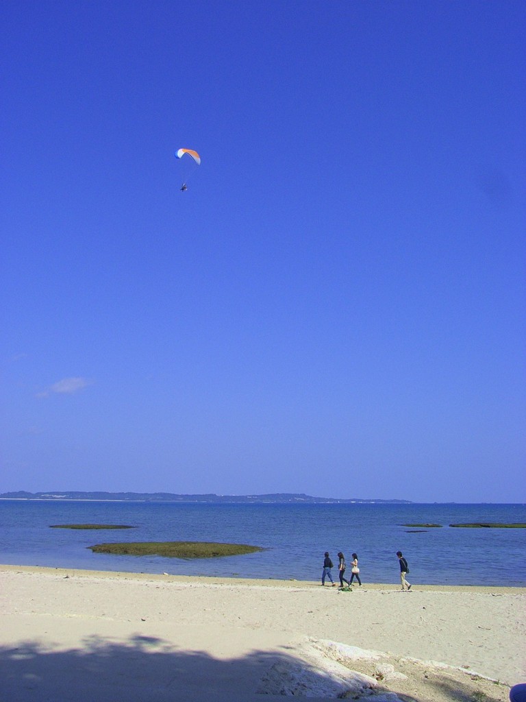 中城 2010年2月