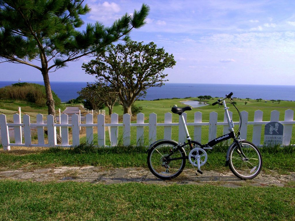 海へのサイクリング