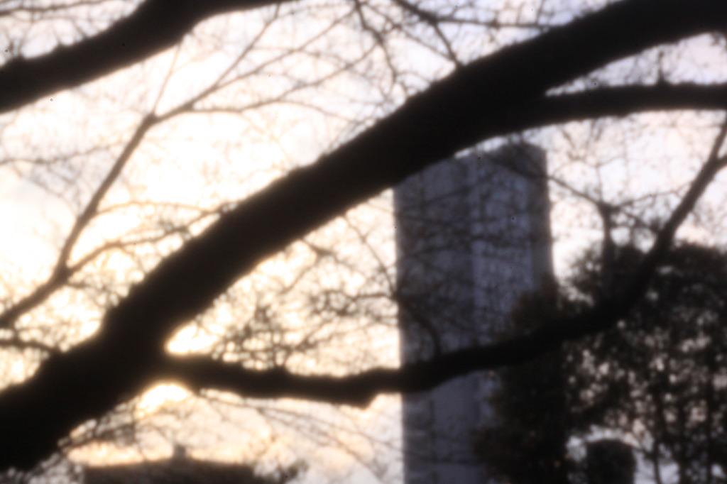 kenko pinhole lens