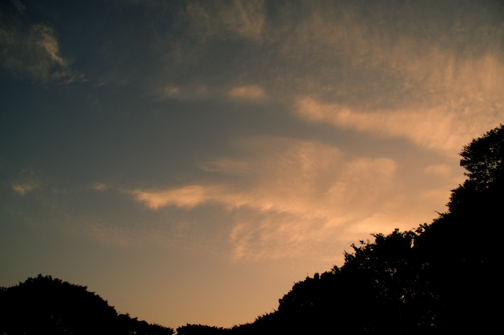 小金井公園の夕暮れ　