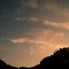 小金井公園の夕暮れ　
