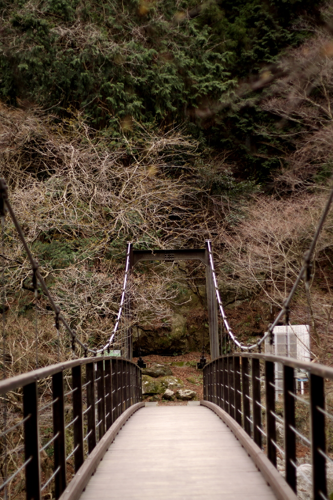 bridge