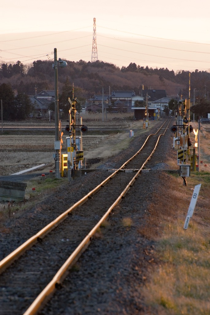A bump on the rail