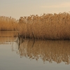 Tama river at late morning