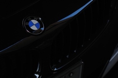 BMW emblem