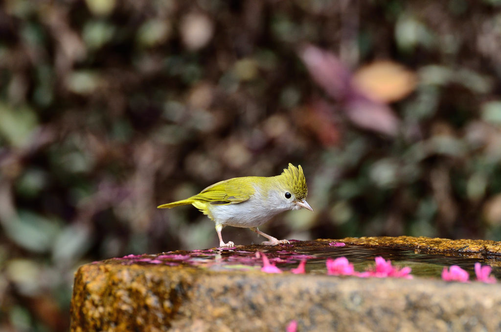 一番カッコいいのは誰？
