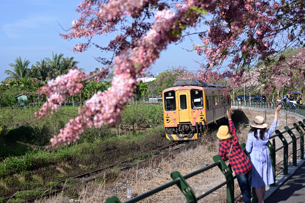 お花見