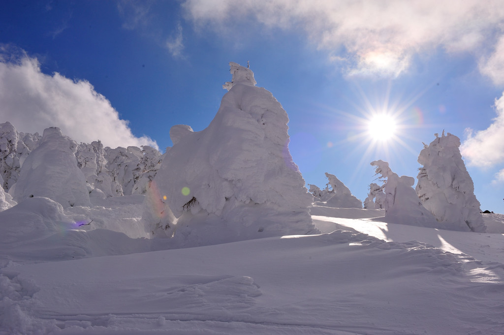 樹氷－晴れ