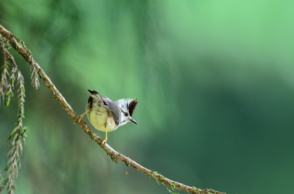 見られちゃった～～～