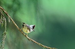 見られちゃった～～～