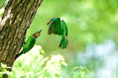 アイコンタクトの瞬間