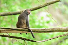 デートの待ち合わせ？？？