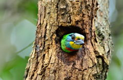 もう夏か～～～
