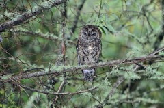 まだ眠いだよ！！！