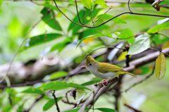 待ってるよ～～～