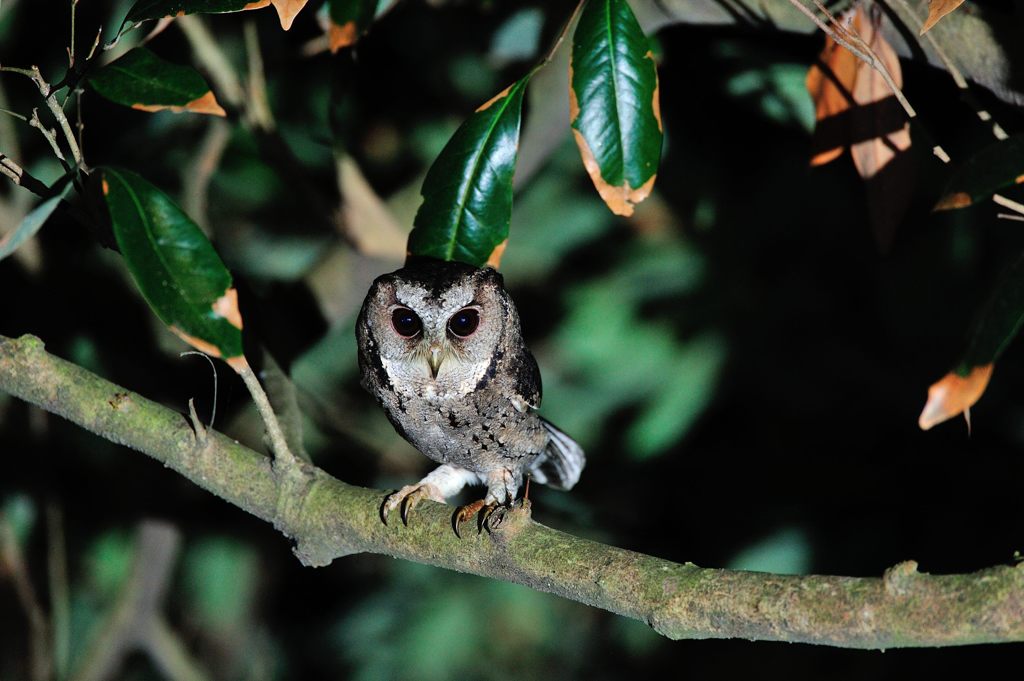 何かよう？？？