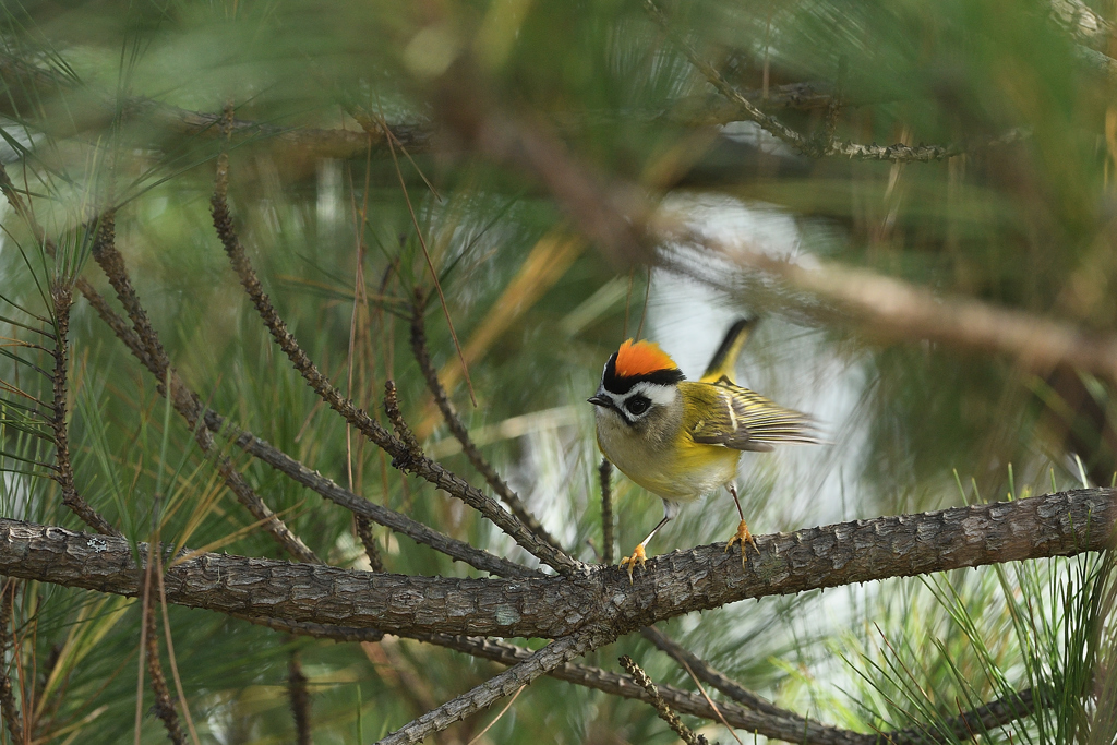 怒っているよ！！