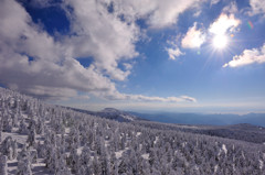 樹氷－晴れ