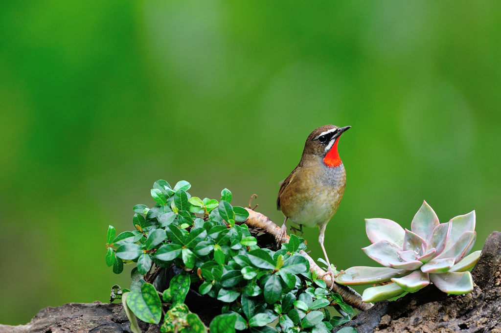 僕の事が好き？？