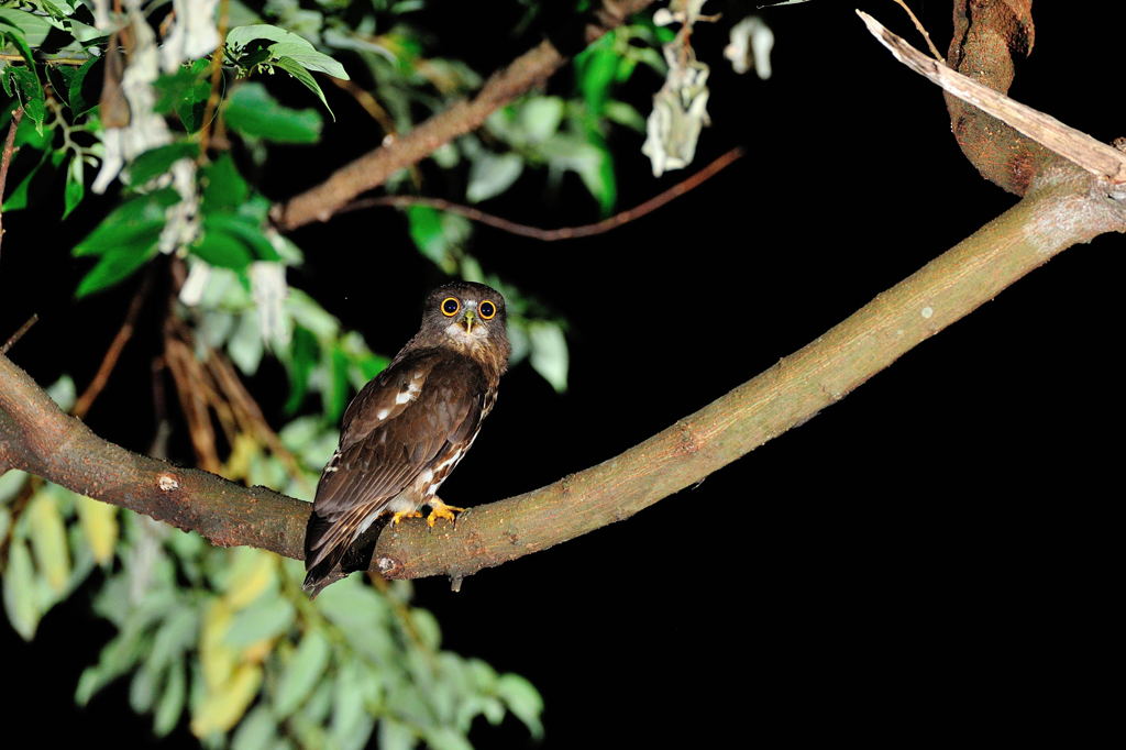 このポーズでいい？？？？