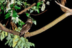 このポーズでいい？？？？