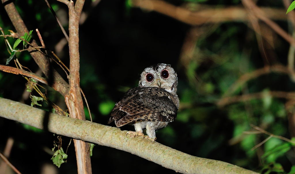 首がいたい～～～～