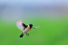 来ましたよ～～