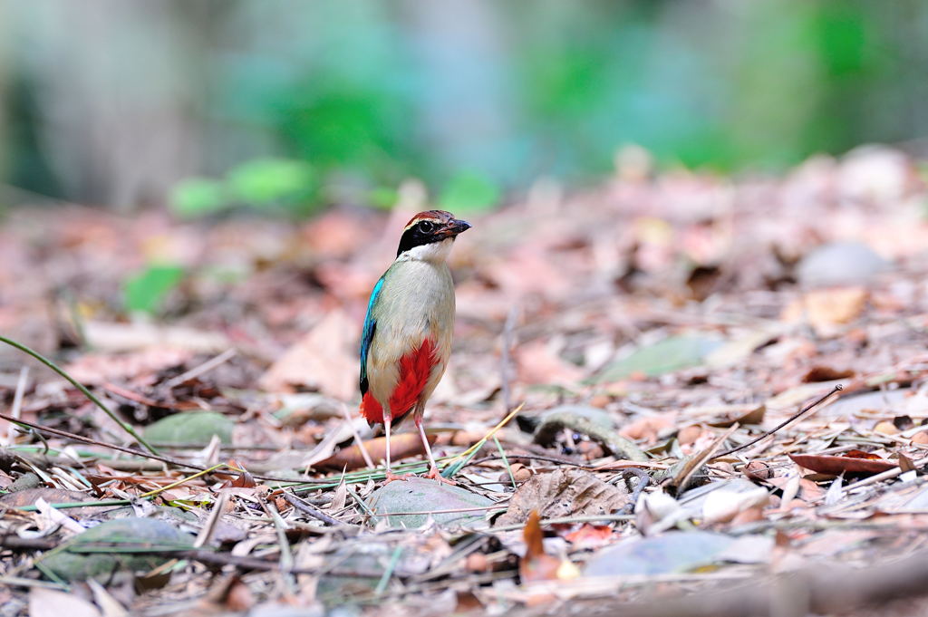 お待たせしました！！！