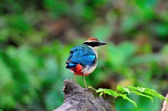 まだ準備中だよ！！