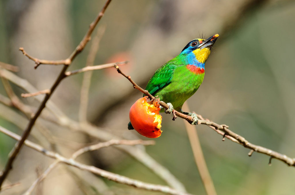 美味しい～～～