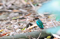 子供に栄養満点