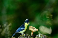 何もないの？早く！！！