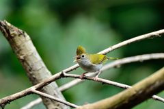 あ~~~~、暑いな～～～