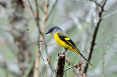 はいぃ、ちーず－１