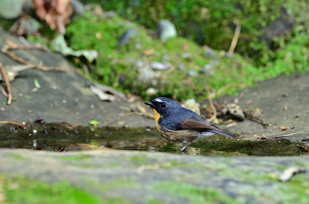 やっばこれがいいな～～～