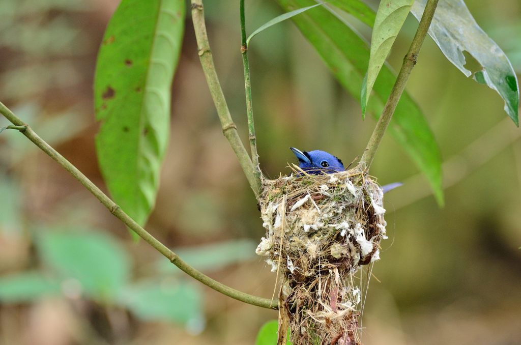 見つけたよ～～～